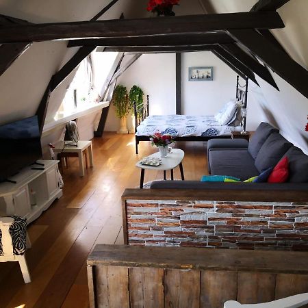 Bed and Breakfast Wittezwaan Гарлінген Екстер'єр фото