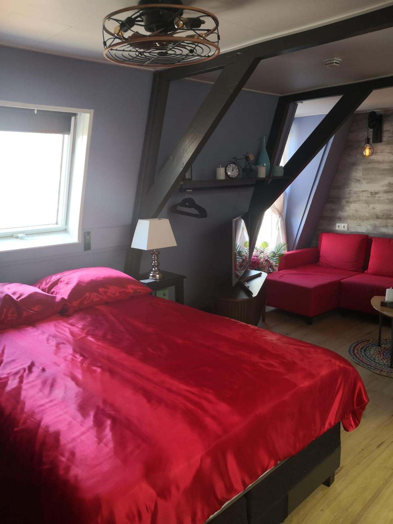 Bed and Breakfast Wittezwaan Гарлінген Екстер'єр фото